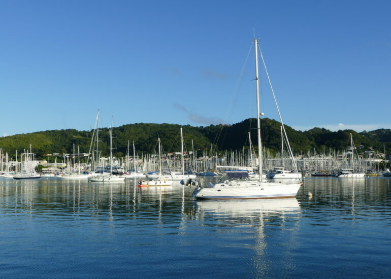 28. La Martinique, la zone de mouillage et la marina du Marin ; les mâts sont serrés comme des allumettes