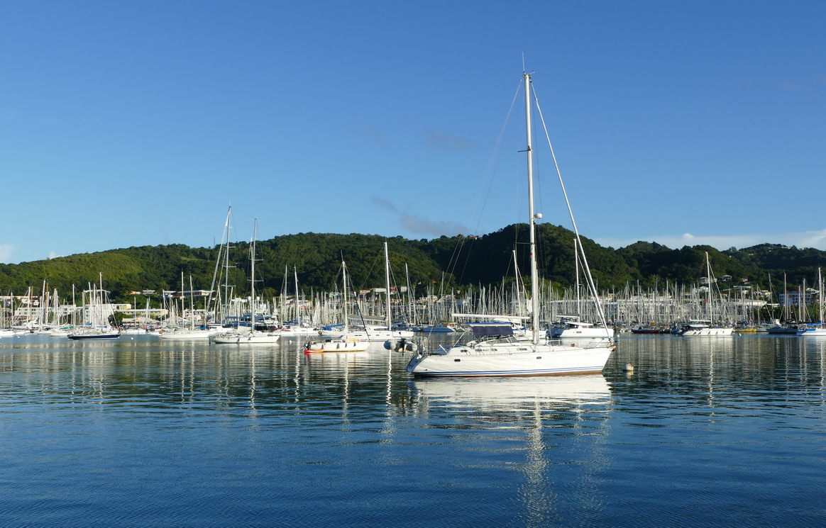 28. La Martinique, la zone de mouillage et la marina du Marin ; les mâts sont serrés comme des allumettes