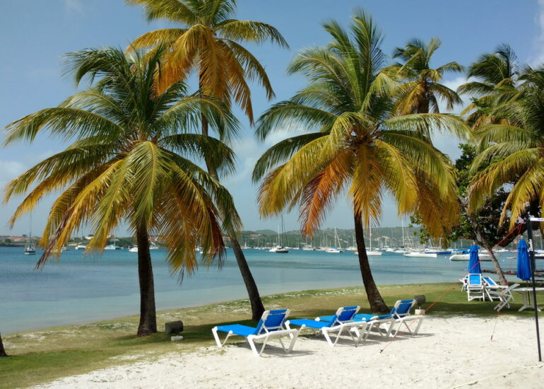 28. Prickly bay