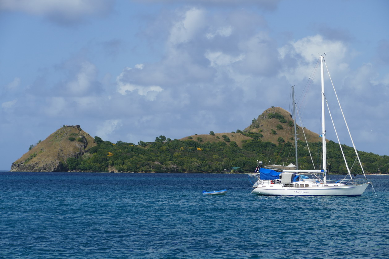 28. Ste Lucie, Rodney bay, Pigeon island avec ses 2 bosses