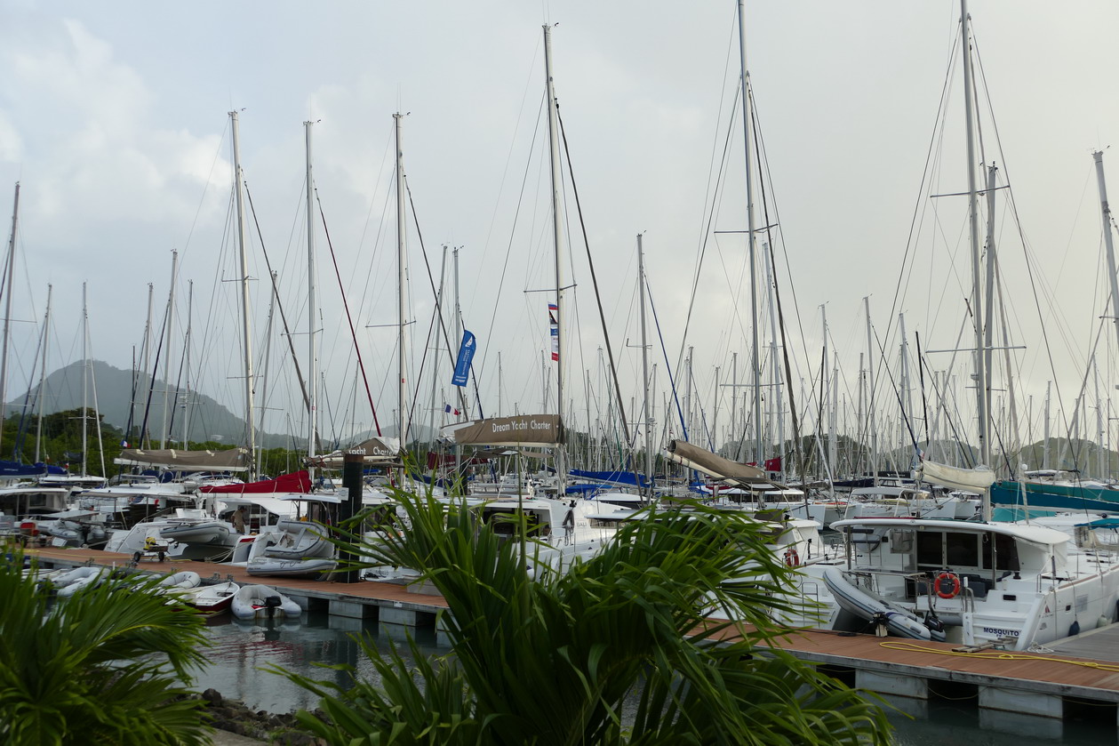 29. La Martinique, la marina du Marin