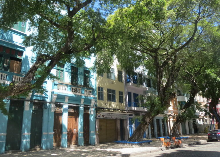 29. Recife antigo