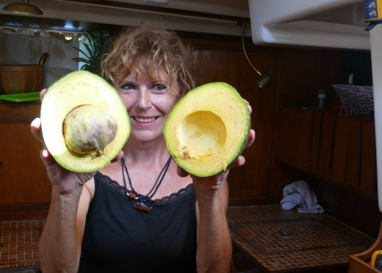 29. Un superbe avocat !