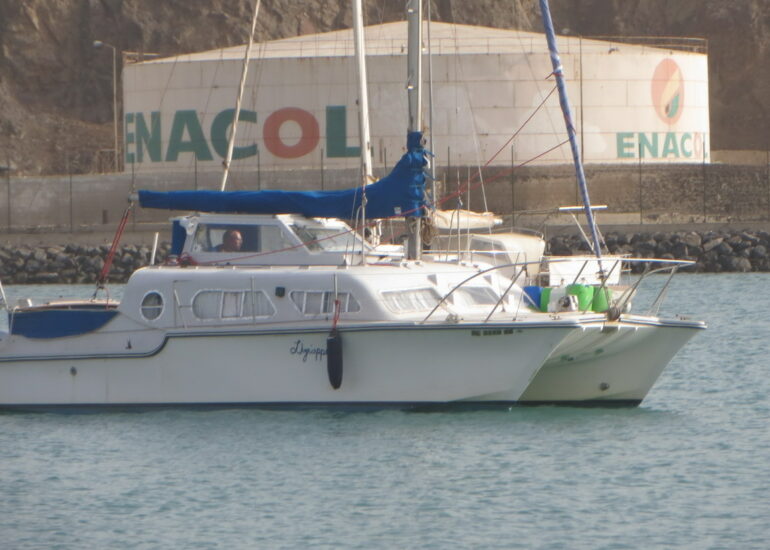 3. Christopher et son chien Bluebell s’apprêtent à parcourir 2400 MN jusqu’à St Thomas, aux Caraïbes