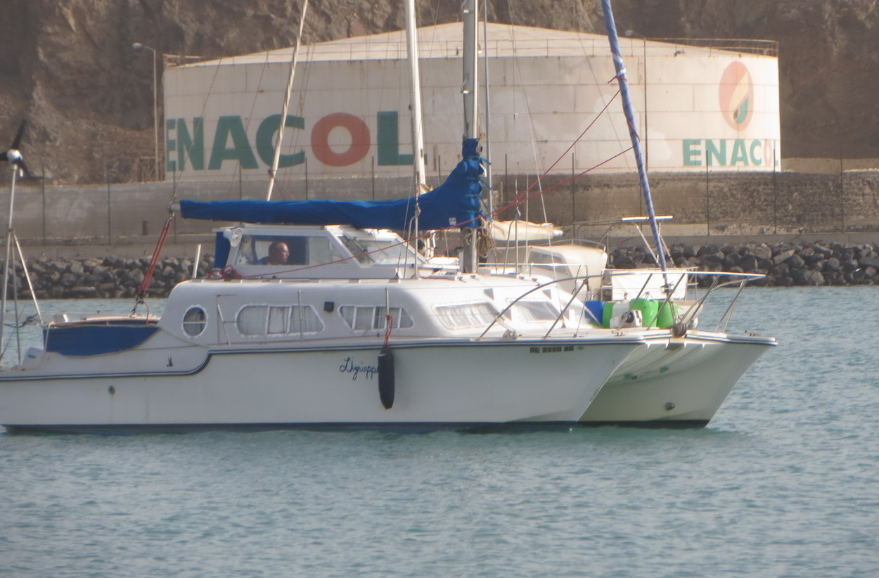 3. Christopher et son chien Bluebell s’apprêtent à parcourir 2400 MN jusqu’à St Thomas, aux Caraïbes