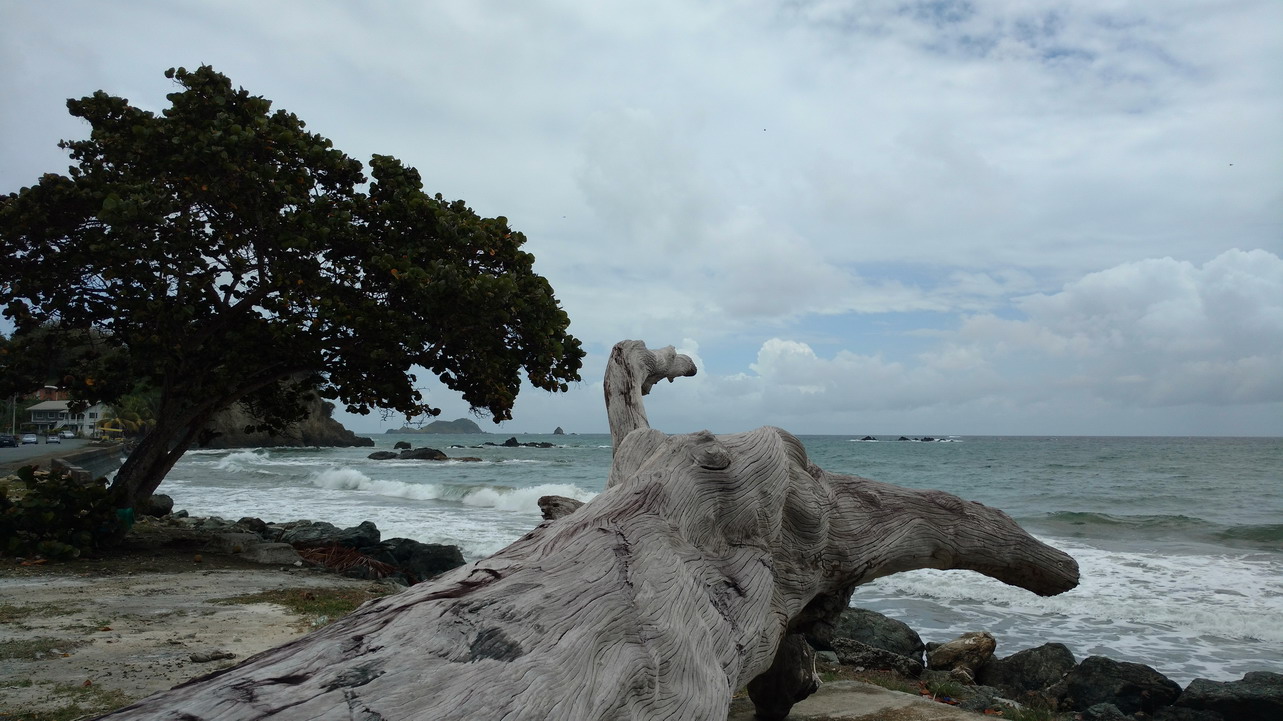 30. La côte sauvage à l'est