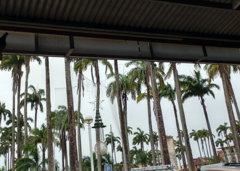 31. Cayenne, la place des Palmistes