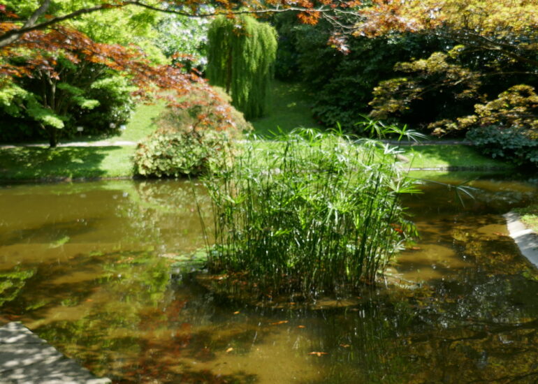 31. Lac de Côme, Bellaghio, les jardins de la villa Melzi
