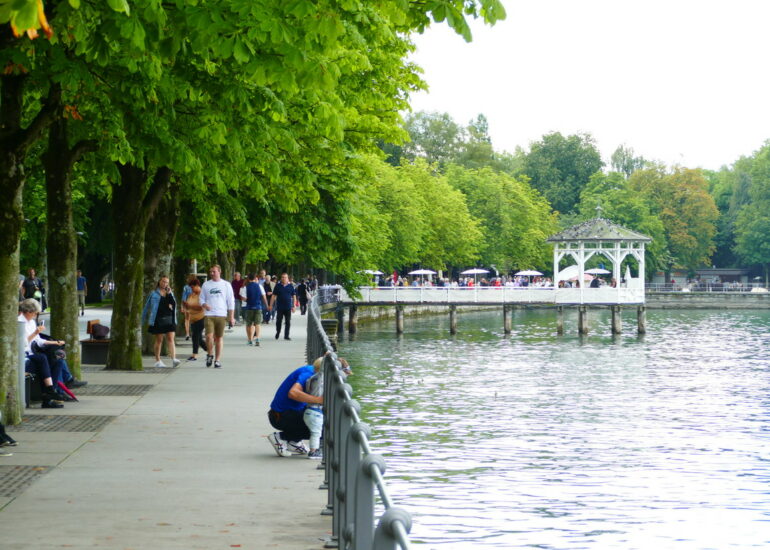 31. Le lac de Constance - Bregenz