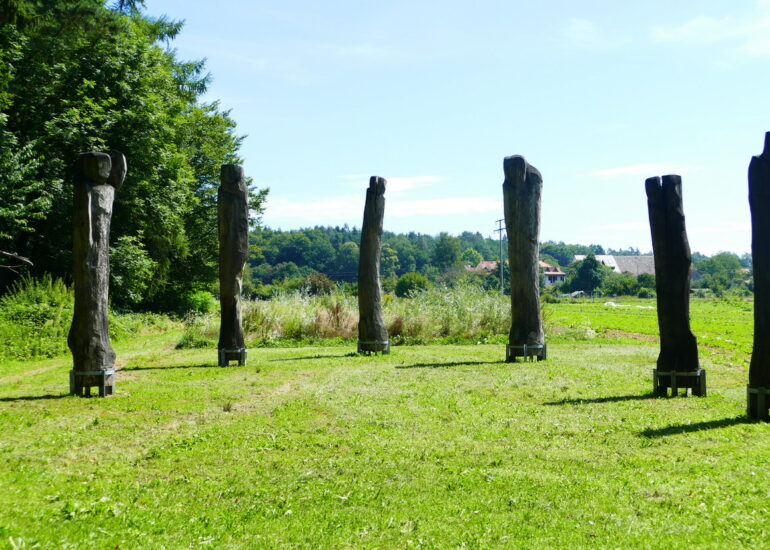 31. Le lac de Constance - sur la rive nord