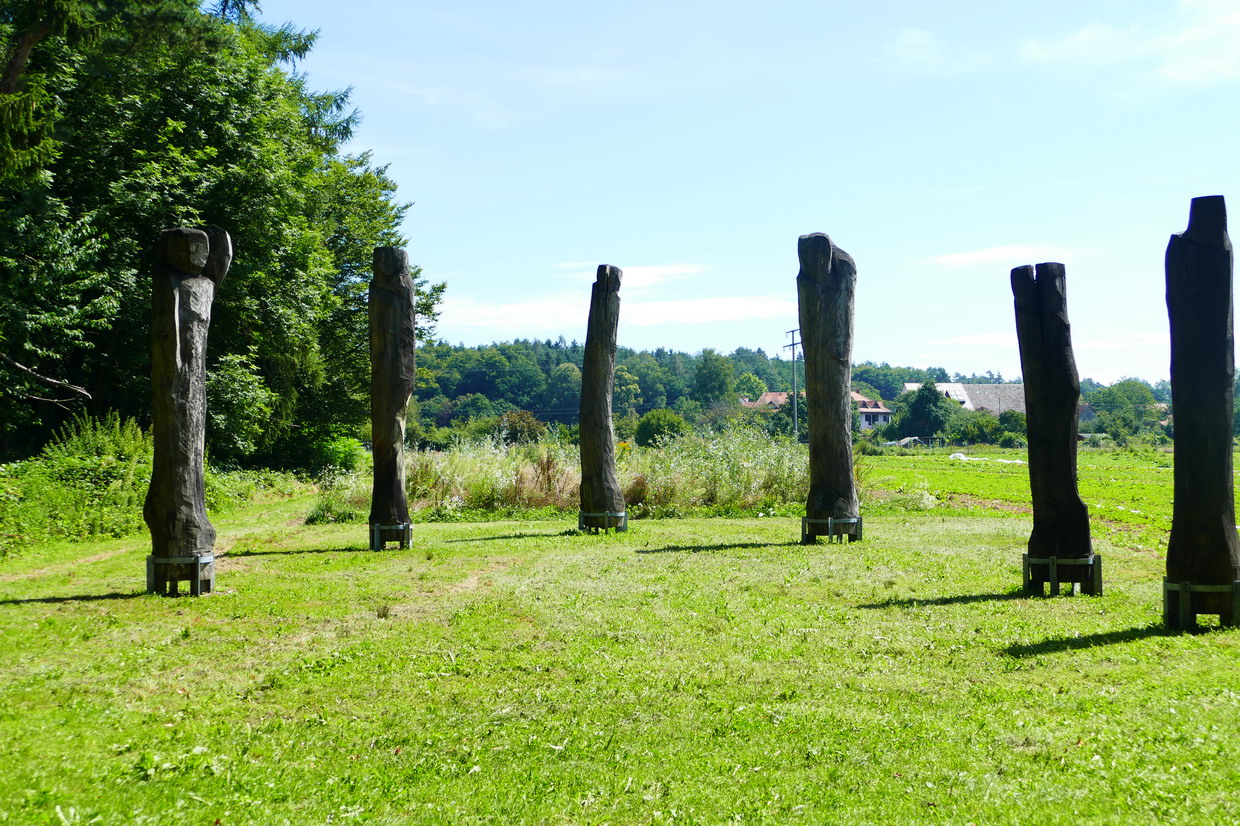 31. Le lac de Constance - sur la rive nord