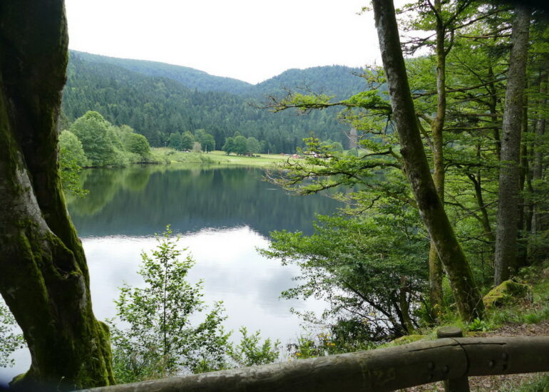 31. Le lac de Retournemer