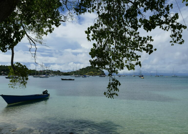 31. Tyrrel bay