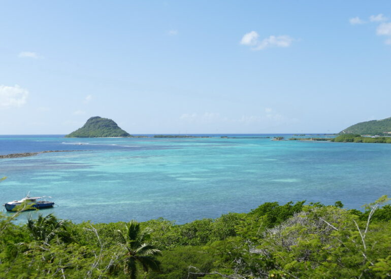 1. Union island, Frigate island, presqu'île débordand le sud de l'île