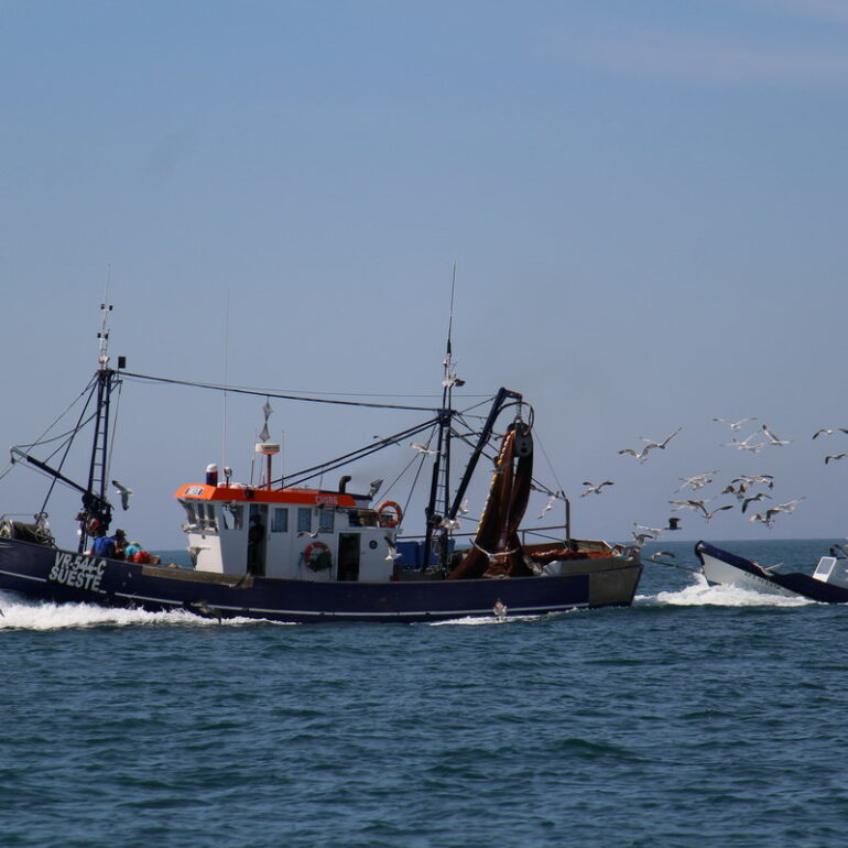32. Algarve, rencontre