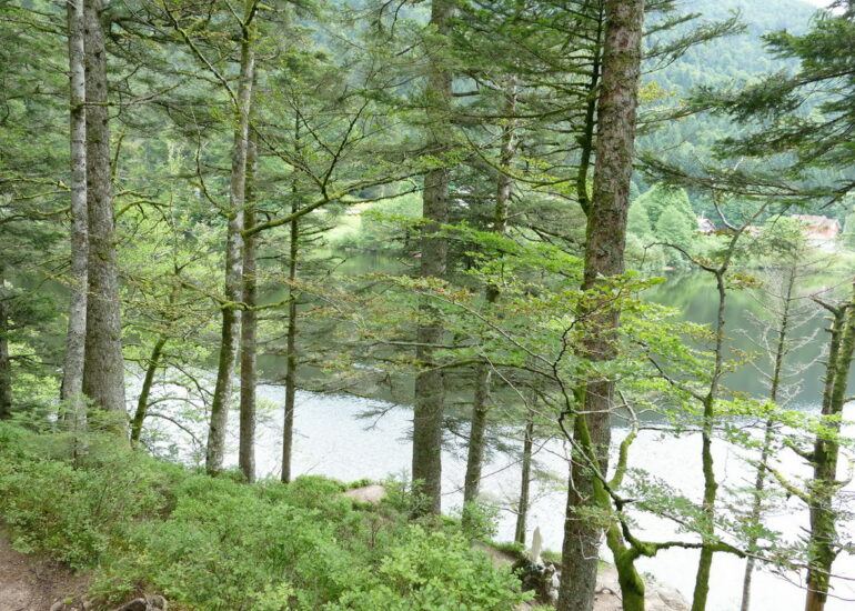 32. Le lac de Retournemer