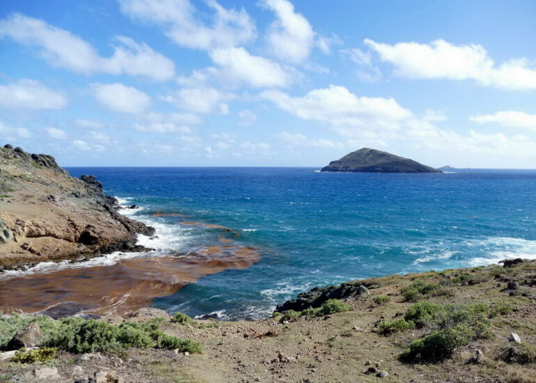 32. St Barth, l'anse Paschal encombrée de sargasses et l'île Chevreau dans la houle d'est