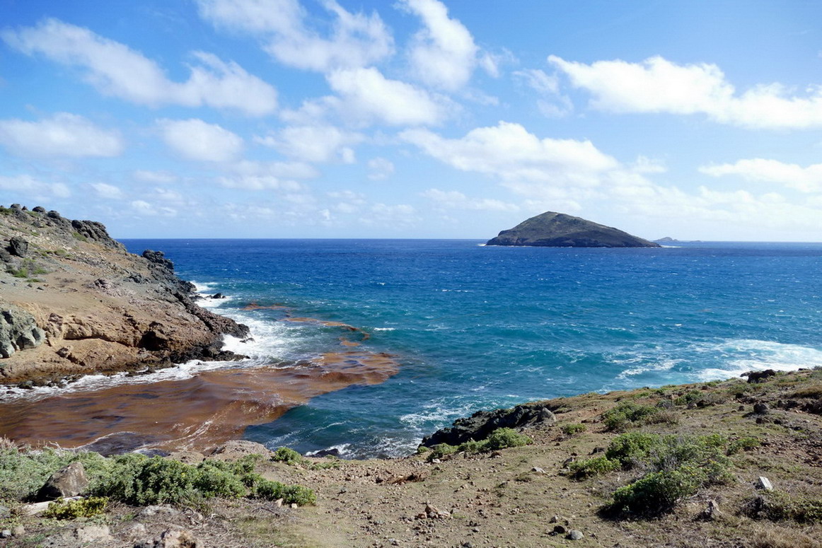 32. St Barth, l'anse Paschal encombrée de sargasses et l'île Chevreau dans la houle d'est