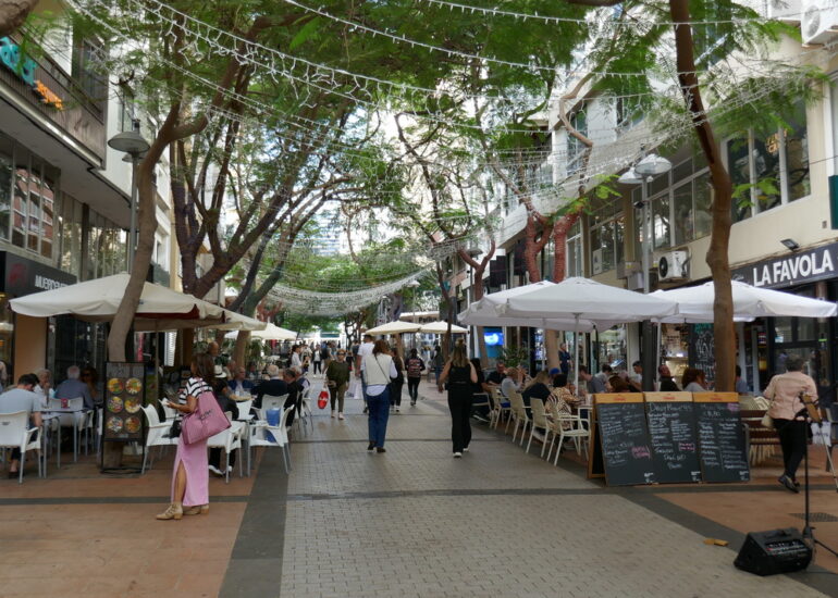 32. Ténérife nord, Santa Cruz