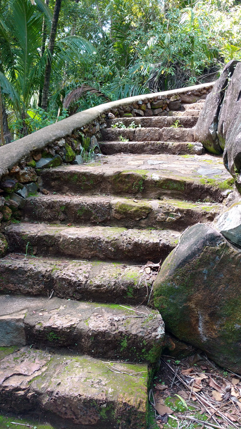 32. Île Royale, un très bel escalier de pierre