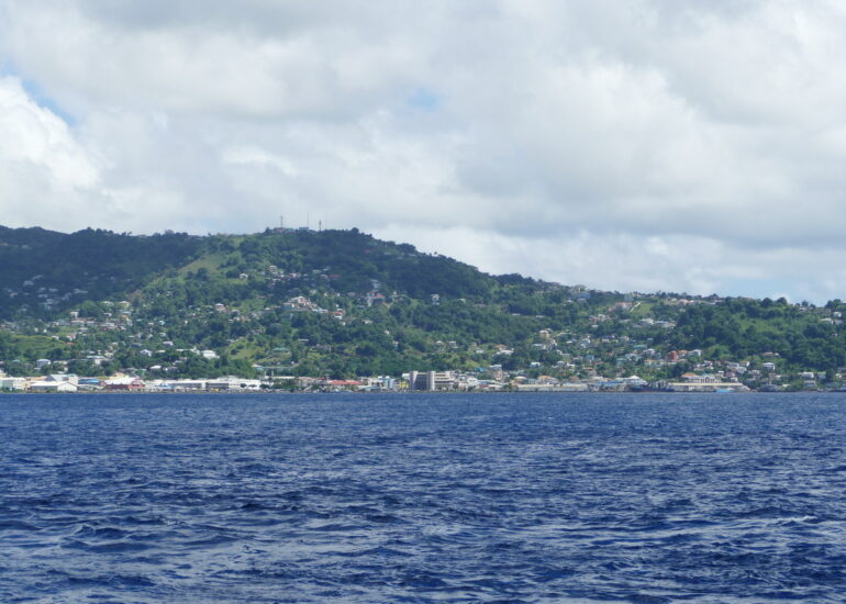 33. Kingstown, la capitale, vue du large