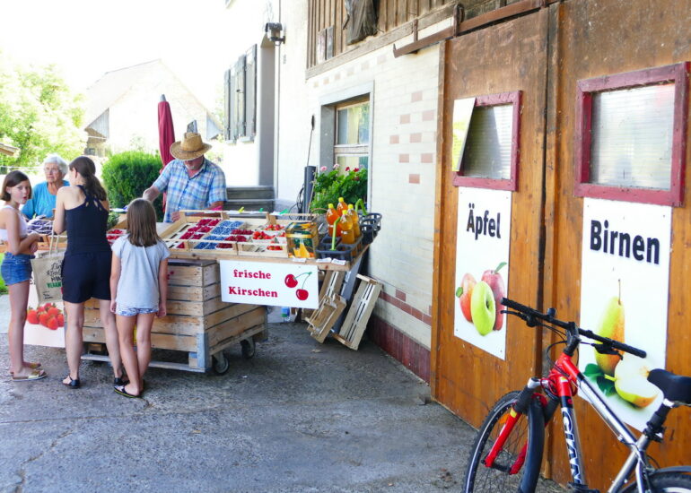 33. Le lac de Constance - sur la rive nord
