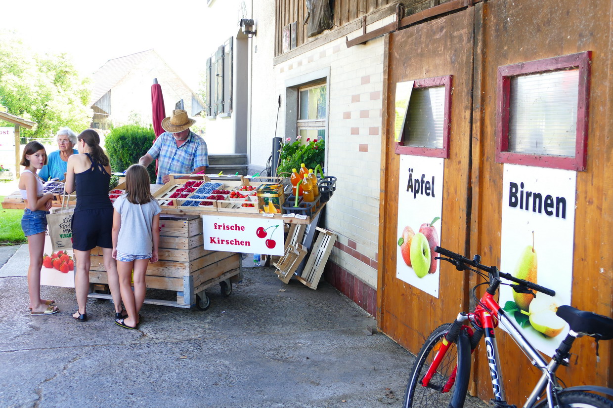 33. Le lac de Constance - sur la rive nord