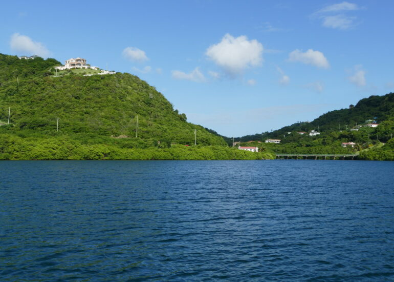 33. Port Egmont, le trou à cyclone