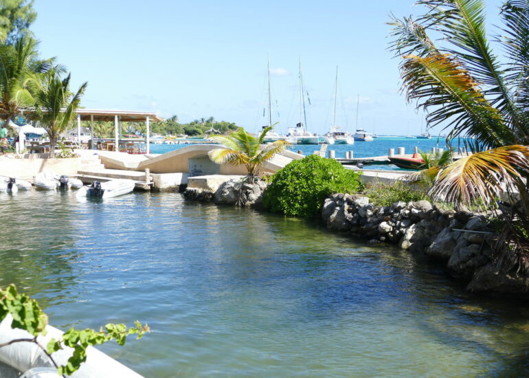 33. Union island, Clifton harbour