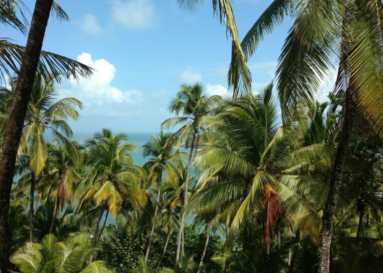 33. Île Royale