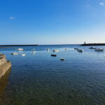 34. Arrecife, les promenades et l'ancien port