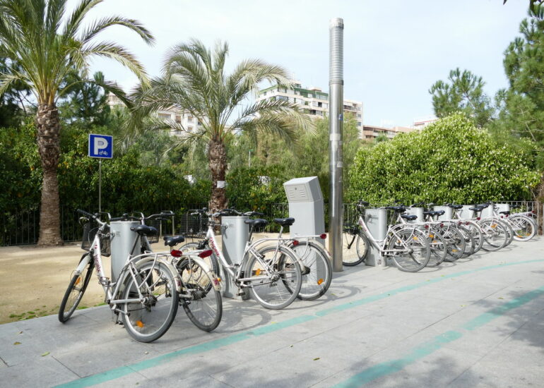 34. Elche