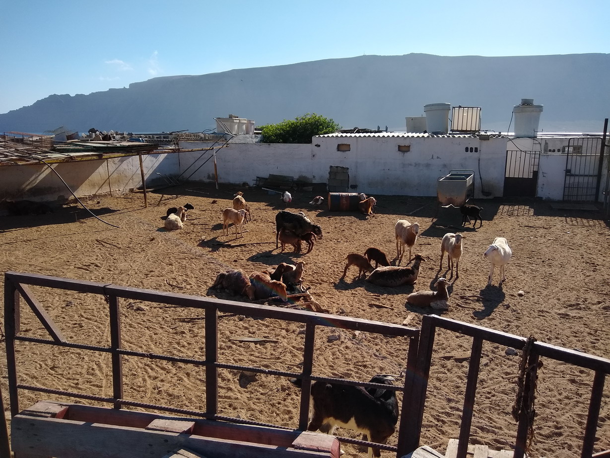 34. La Graciosa - une ferme au centre de l'île