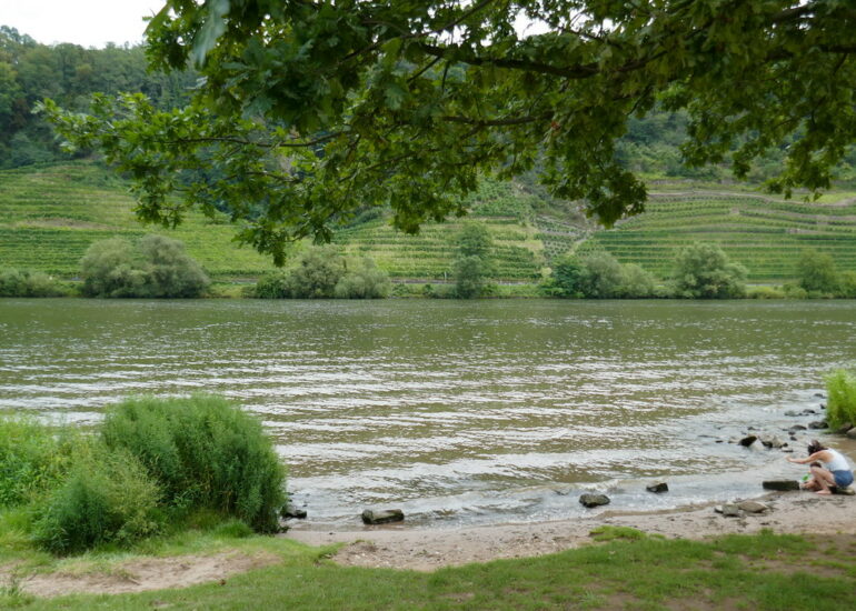 31. La vallée de la Moselle avant le confluent