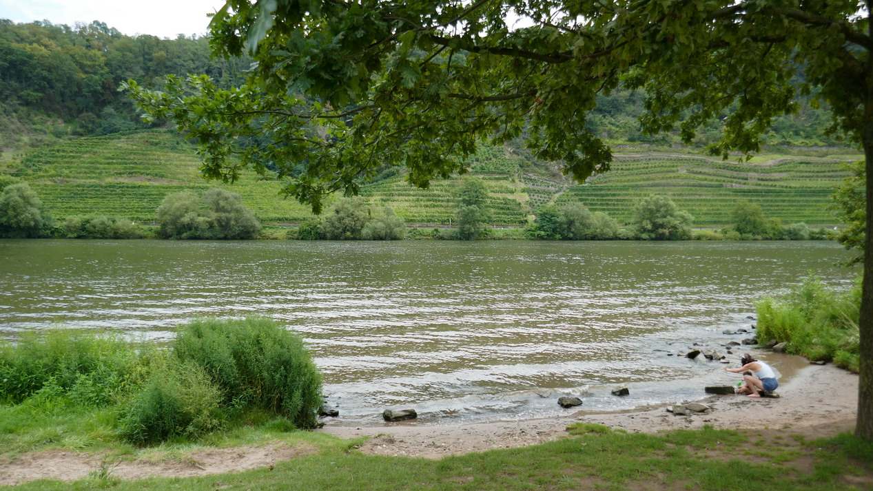 31. La vallée de la Moselle avant le confluent
