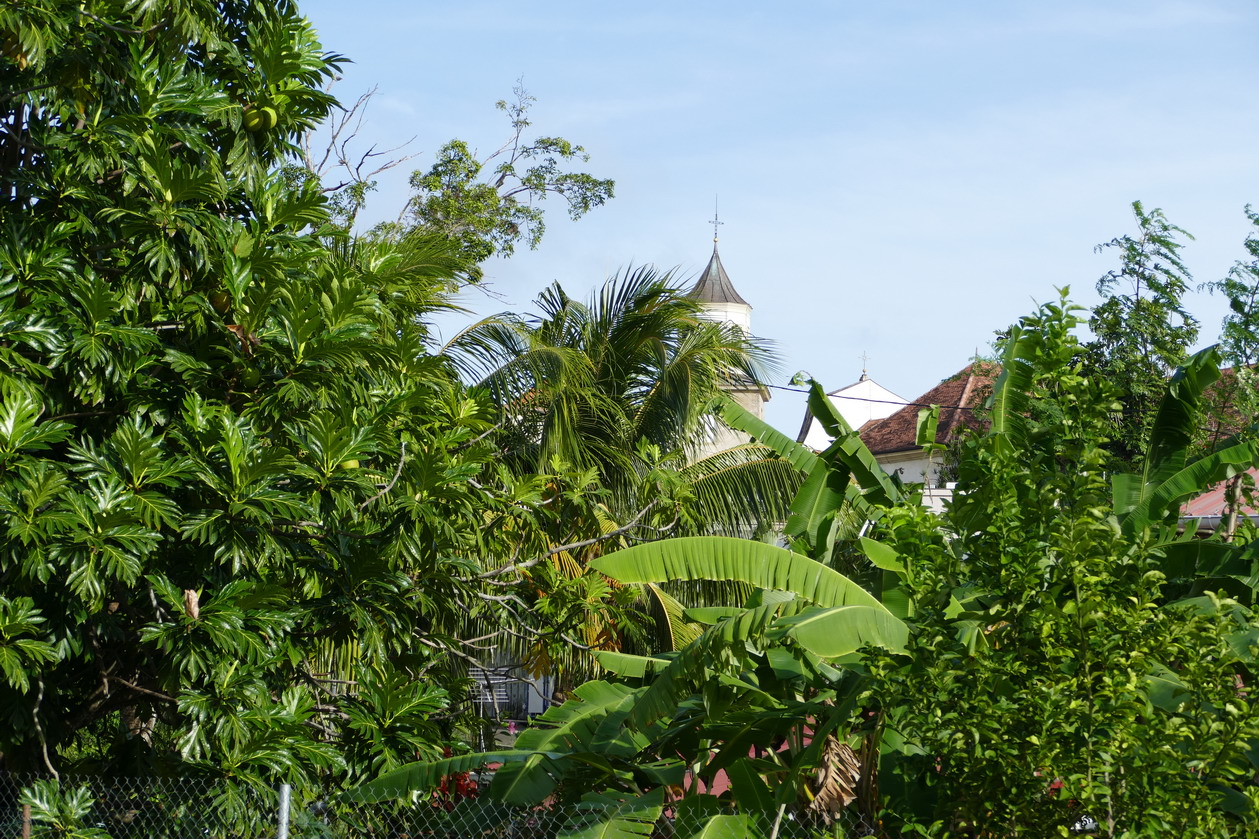 35. La Martinique, l'église du Marin