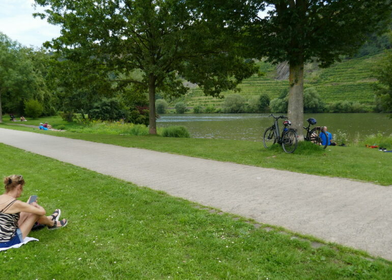 32. La vallée de la Moselle avant le confluent