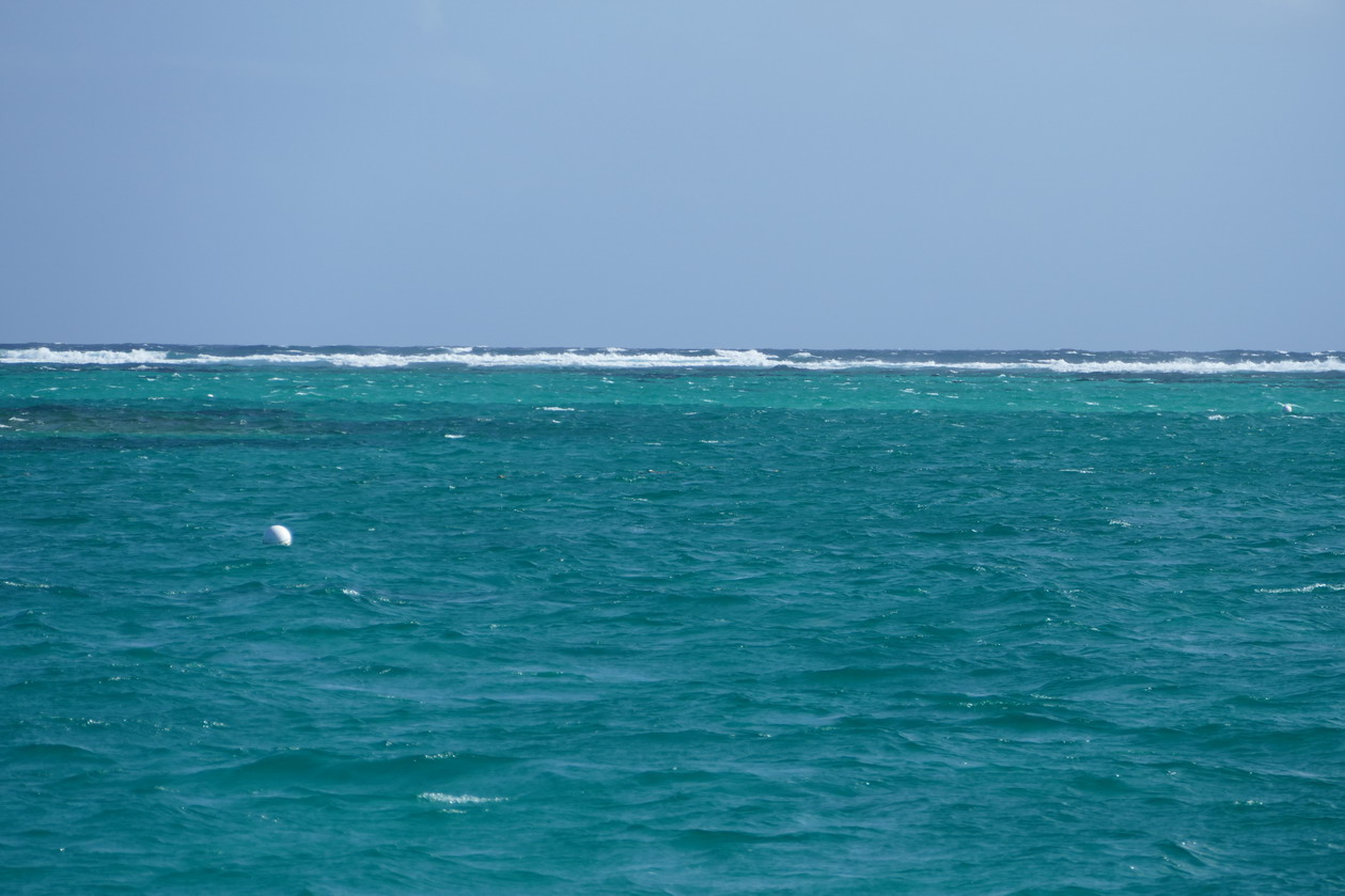 35. L'alizé projette les vagues sur la barrière corallienne