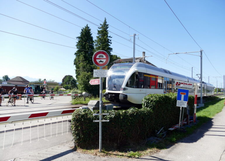 35. Le lac de Constance - rive sud