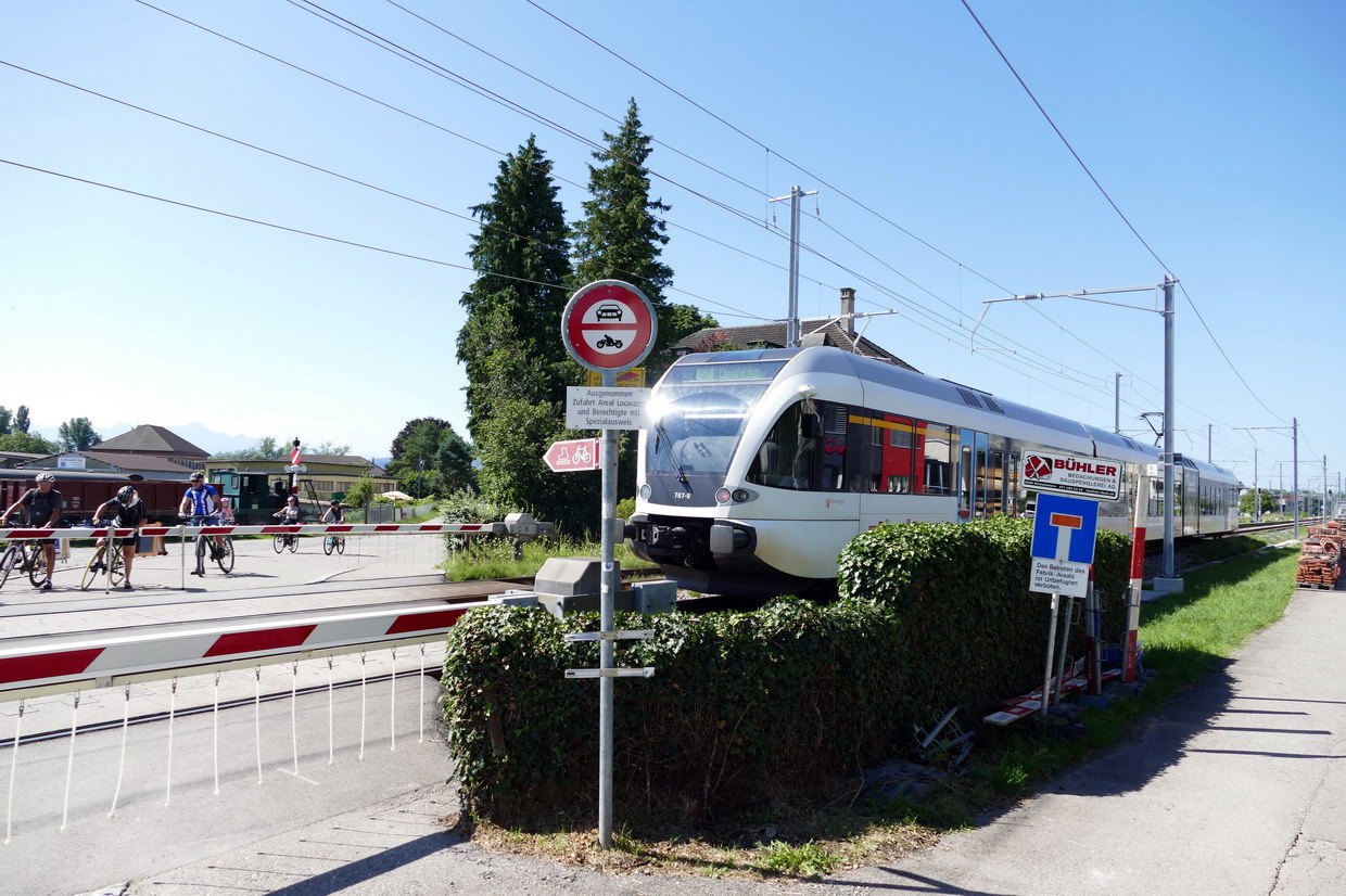 35. Le lac de Constance - rive sud