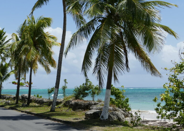 35. Marie-Galante ; Grand-Bourg, la plage