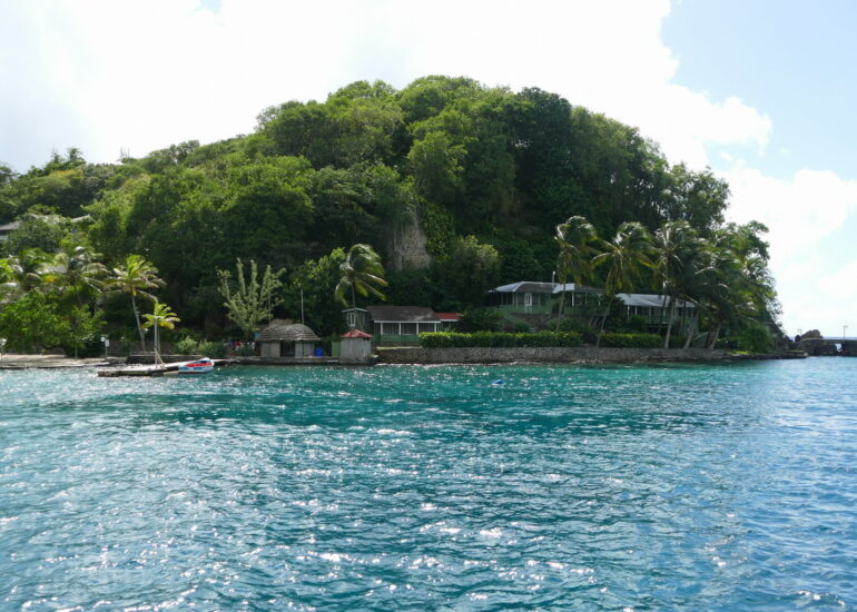 35. St Vincent, Young island