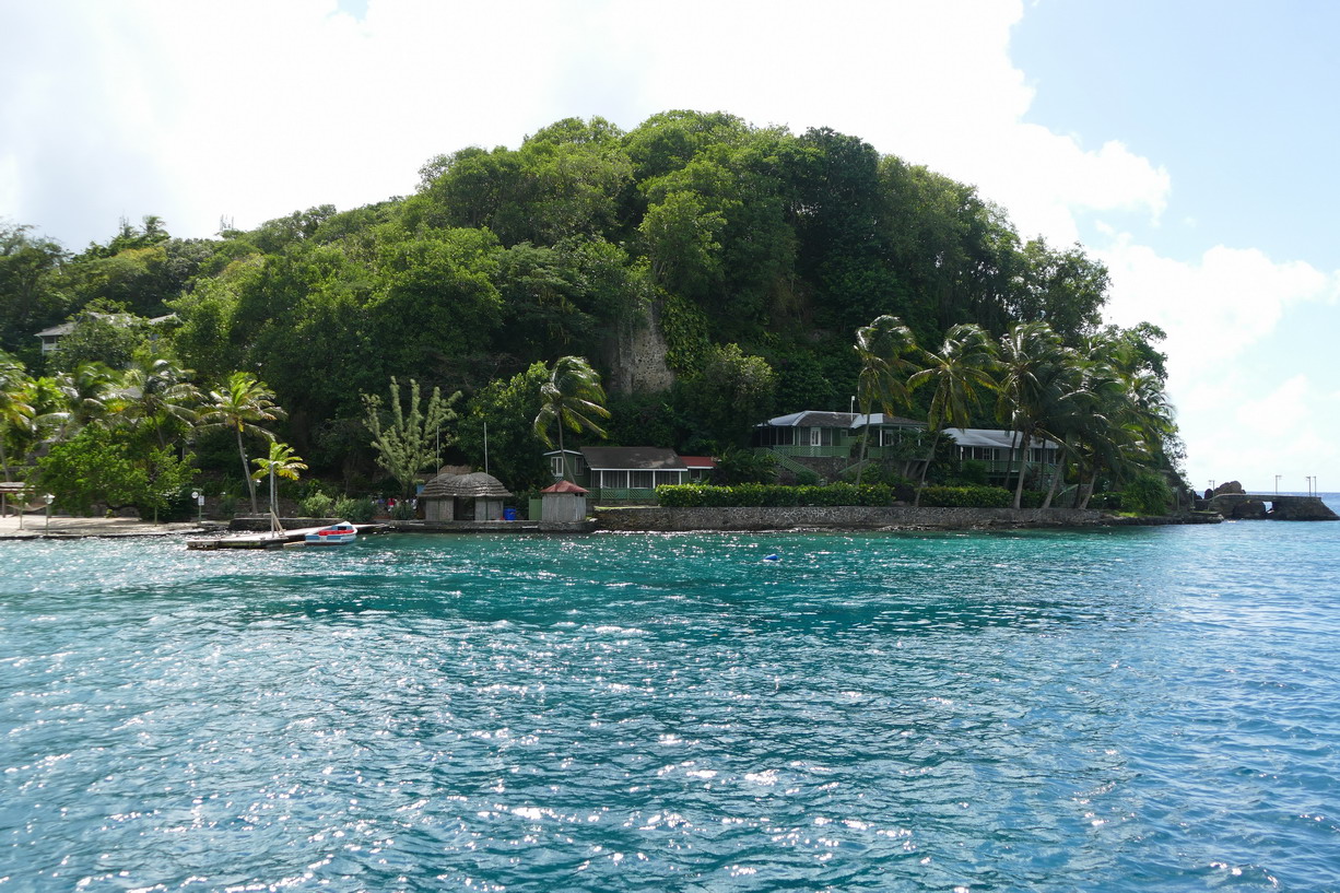 35. St Vincent, Young island