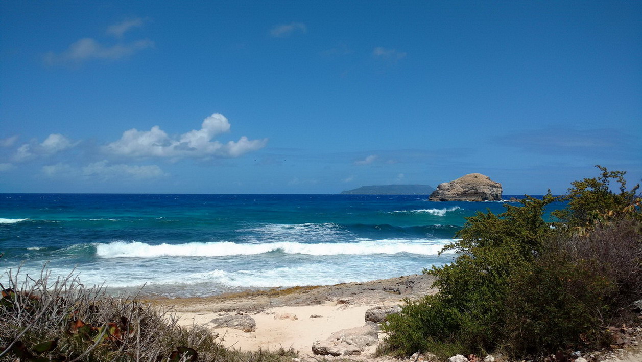 36. Guadeloupe, la Pointe des châteaux