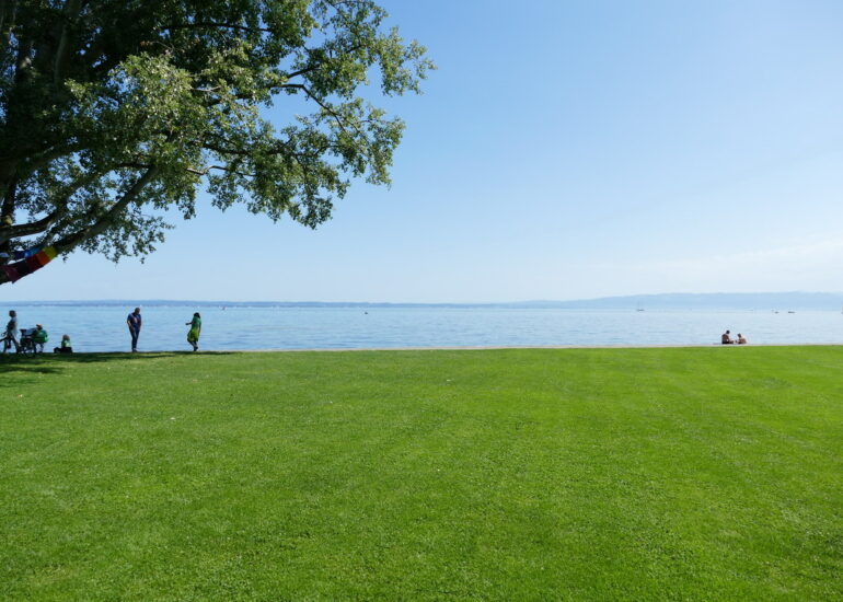 36. Le lac de Constance - rive sud