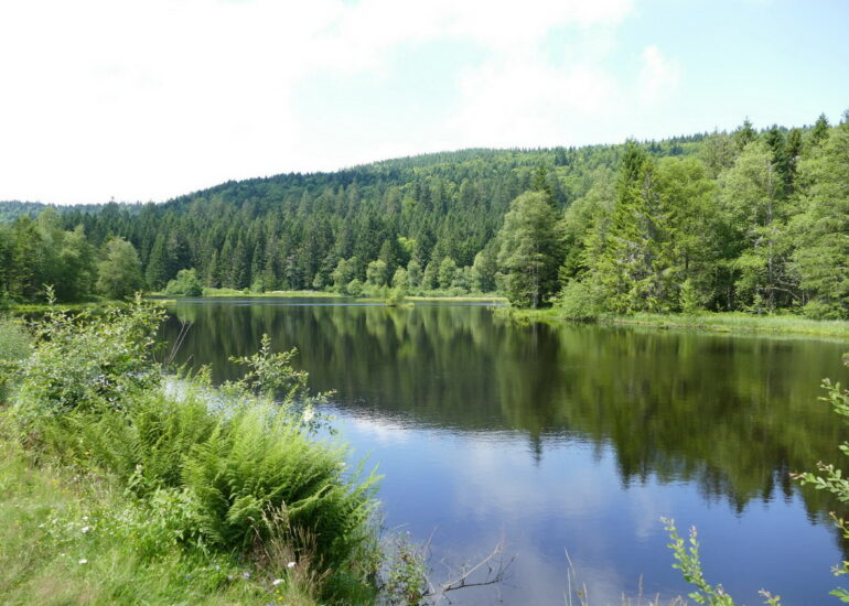 36. Le lac de Lispach