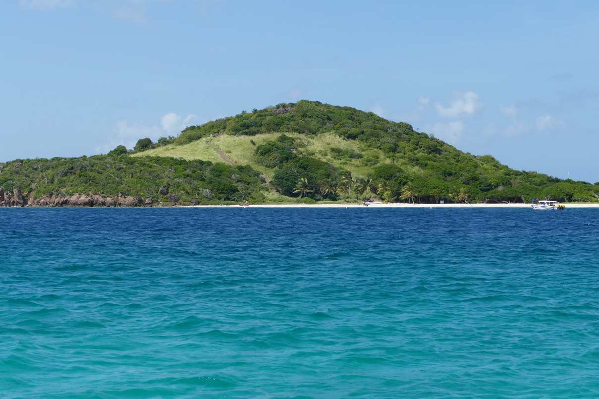 36. Les Tobago cays, l'îlet de Petit bateau (c'est son nom !)