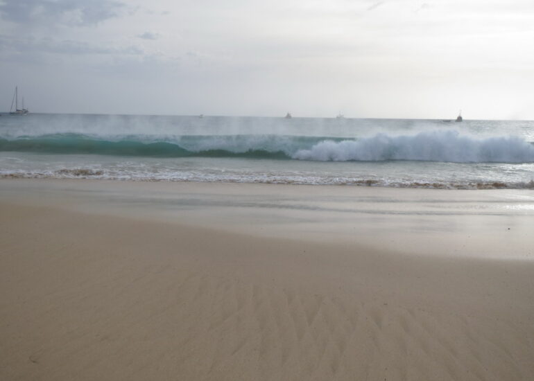 36. Vague