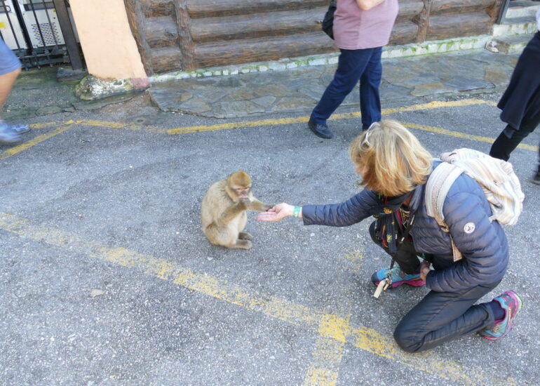 37. Gibraltar, sur le rocher