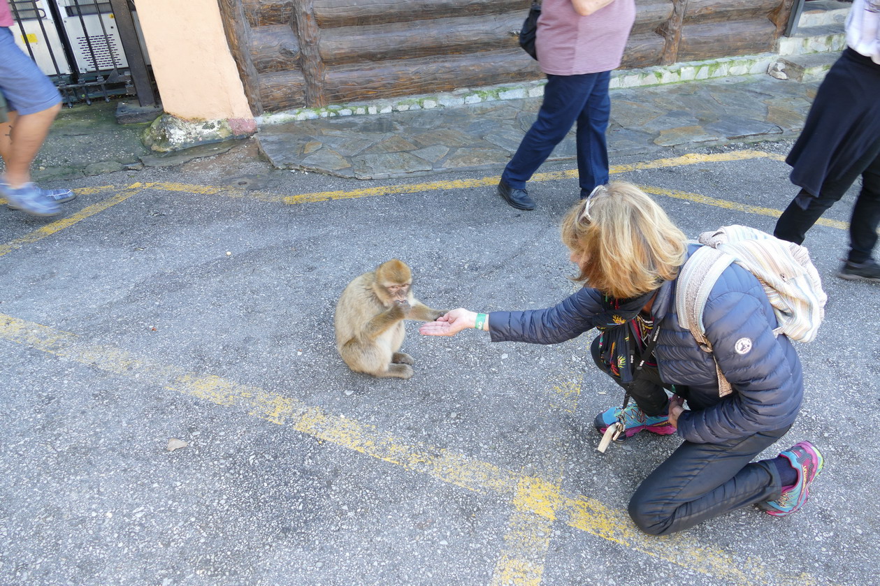 37. Gibraltar, sur le rocher